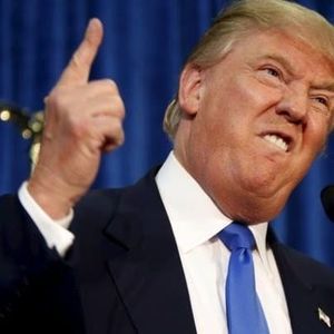 Meet your Posher, Al